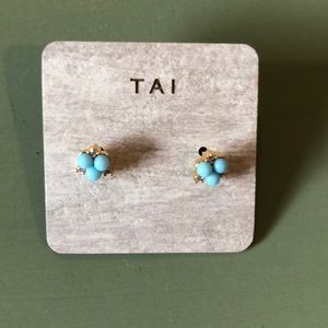 Earrings- never worn